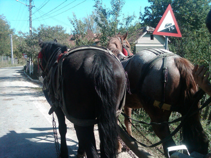 IMG00005-20121002-1420