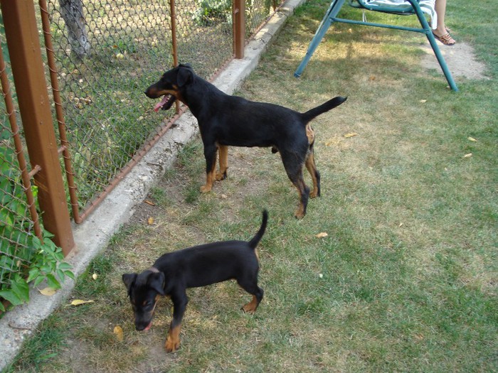 astor glont tata fiu