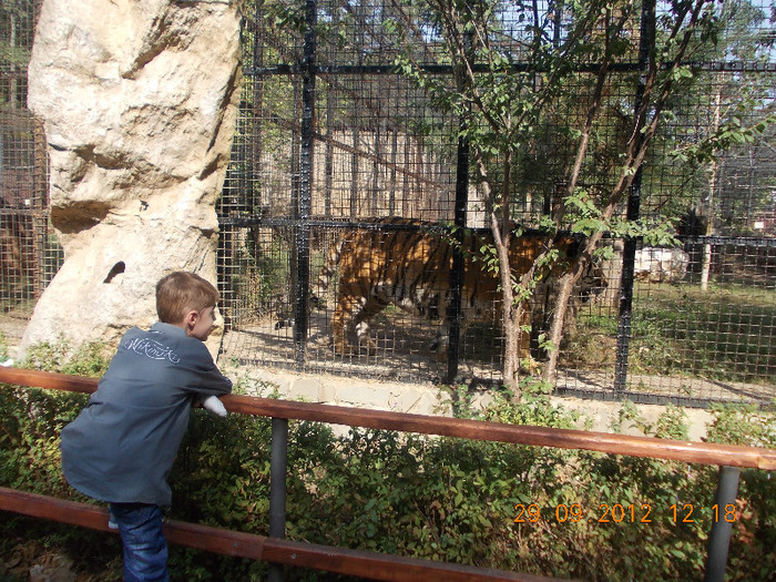 DSCN4241 - LA GRADINA ZOOLOGICA DIN BUCURESTI