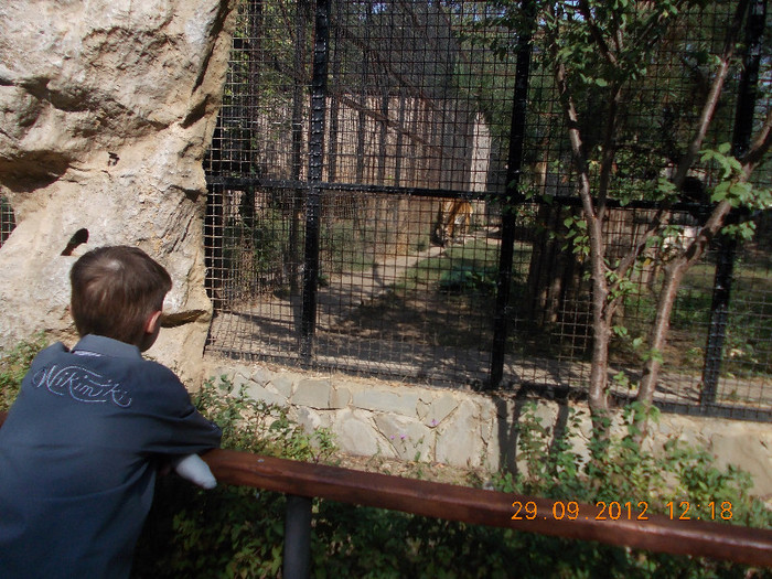 DSCN4242 - LA GRADINA ZOOLOGICA DIN BUCURESTI