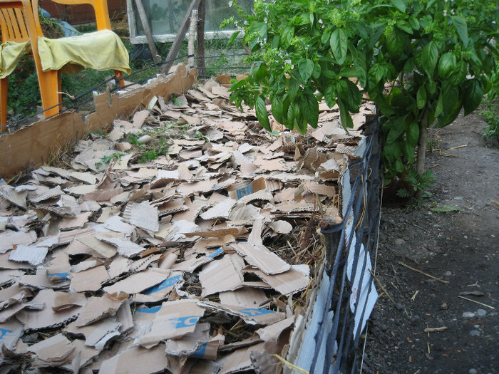 Strat inalt pentru capsuni 27 Septembrie 2012