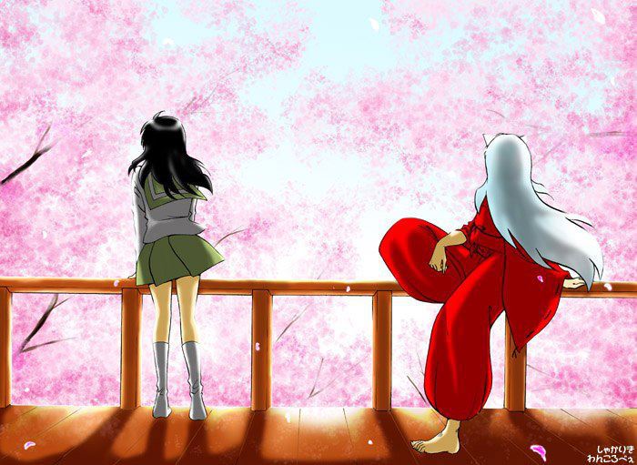 10 - Inuyasha poze