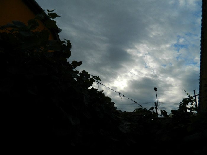 DSCN9228 - OCTOMBRIE 2012