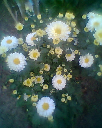 Photo^^0258