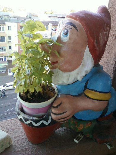17 oct 2012-flori 068