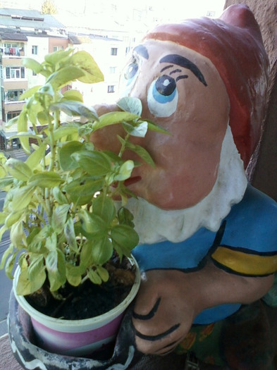 17 oct 2012-flori 070