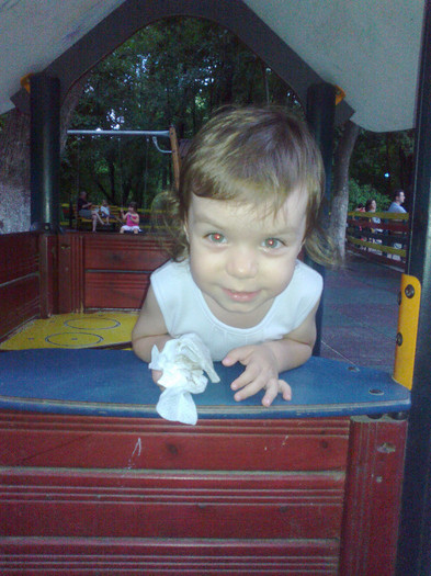 21062012442