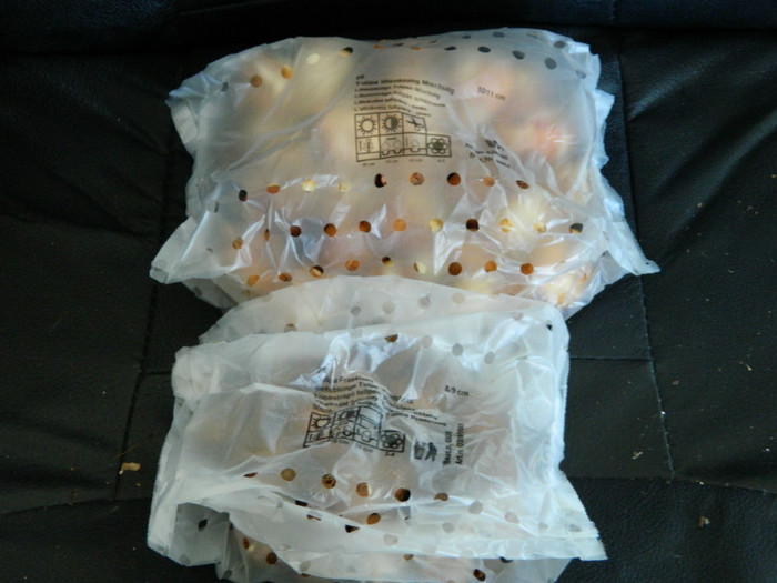 Lalele Praestans si flori crin - COMANDA STARKL_2