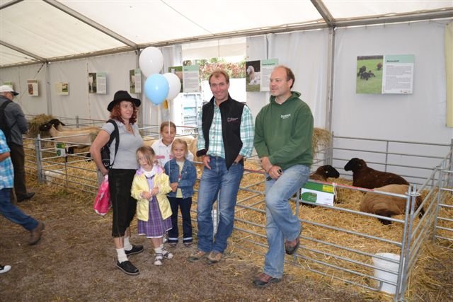 crescatori de dorper