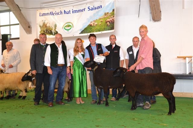 rase de carne in Wels - 7-anunt important