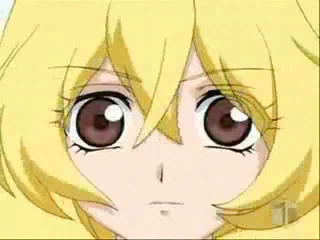 alice-blond-hair-alice-gehabich-17994124-640-480