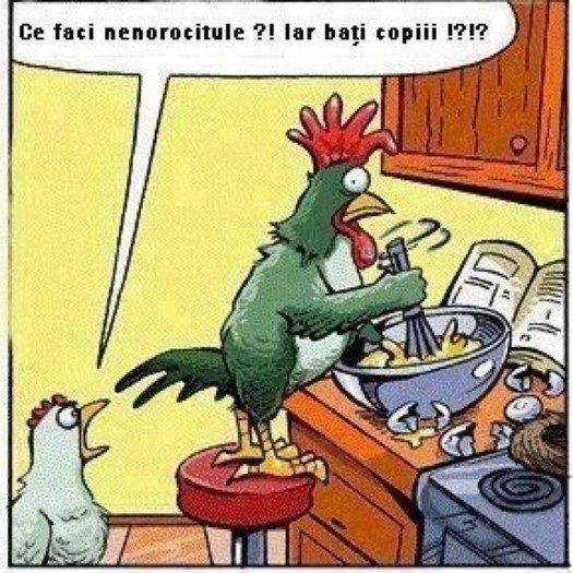 nenorocitule!! - poze haioase