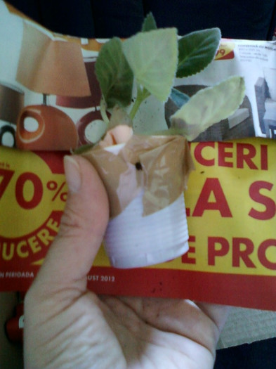 au ajuns in forma... - primite