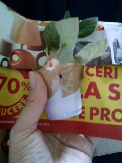 multumesc corina(luk20) - primite