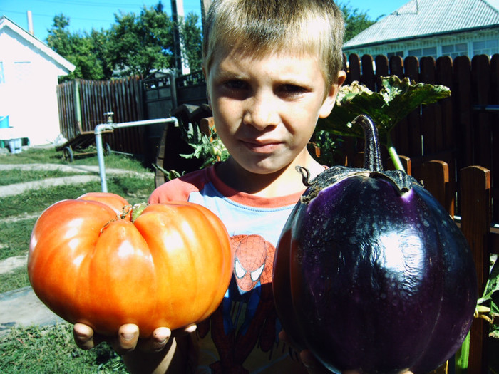 IMG00010; Rosii si vinete 2012
