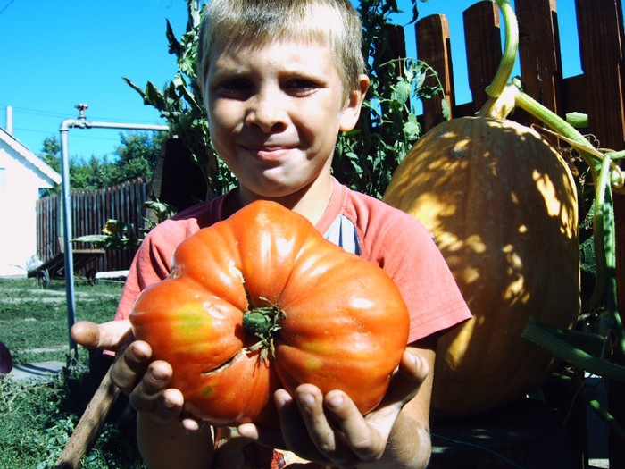 IMG00024; Rosie uriasa 2012
