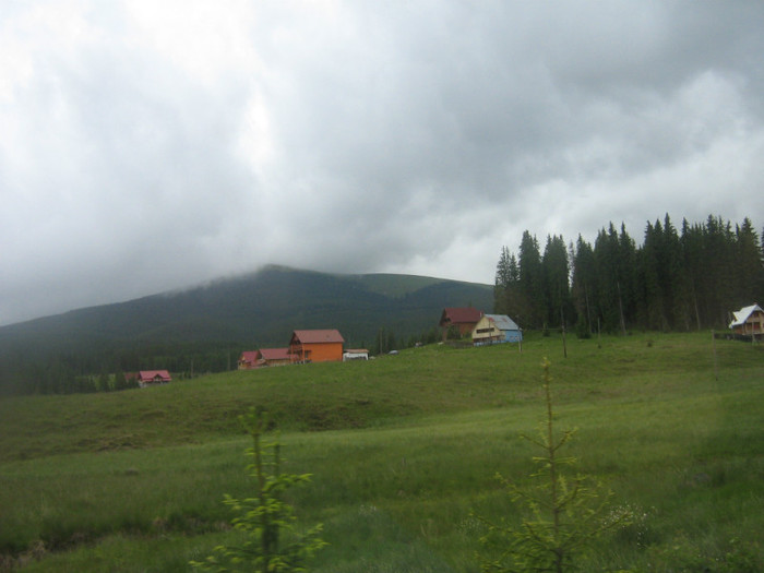 Picture 486