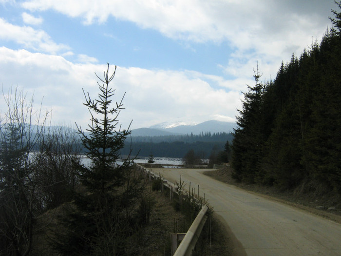 Picture 819