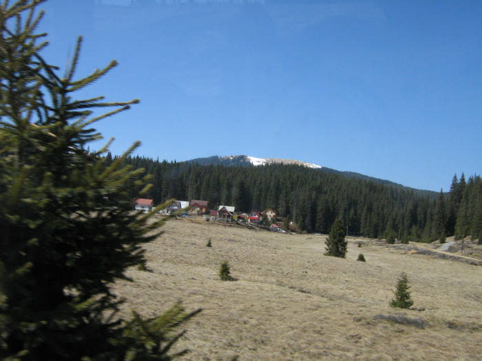 Picture 857