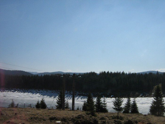 Picture 859