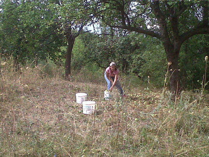 la cules de pere sept.2012