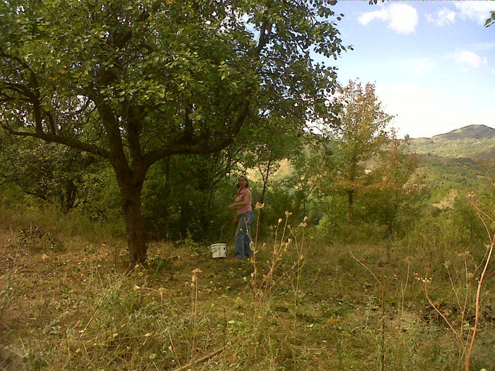 IMG00055-20120909-1147