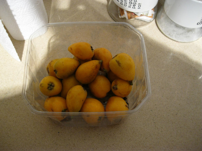 IMG_0278; fructe de loquat-Eriobotrya japonica
