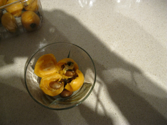 IMG_0279; fructe de loquat
