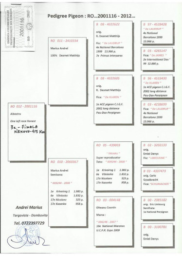 f6 - NOI ACHIZITII part 3