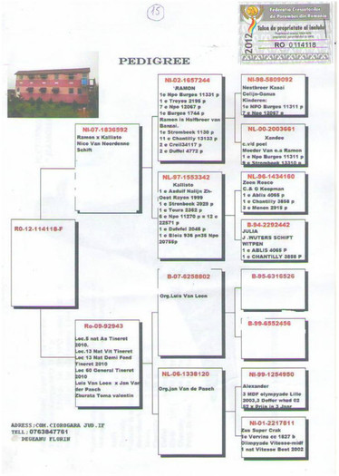 f12 - NOI ACHIZITII part 3