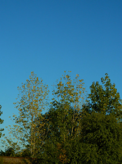 DSCN9463