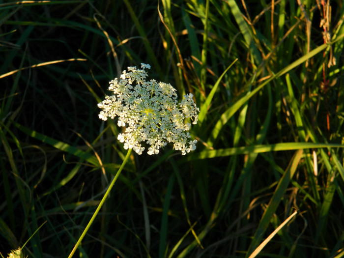 DSCN9467