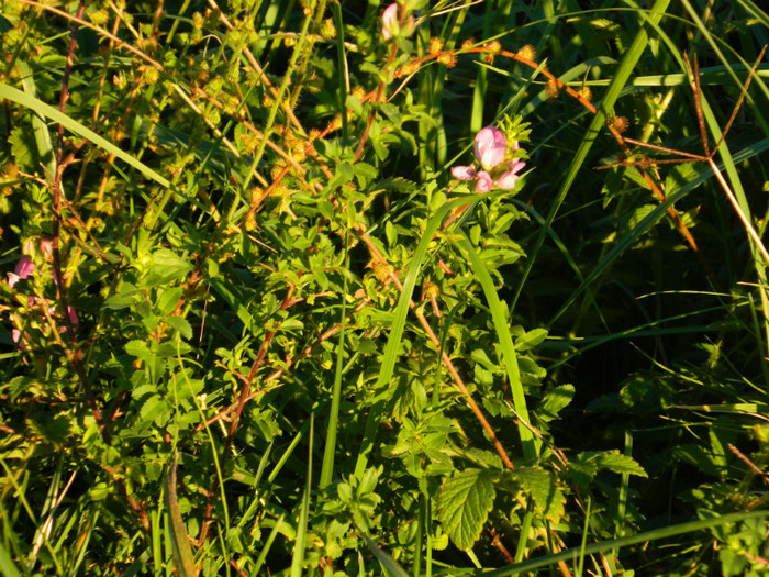 DSCN9468