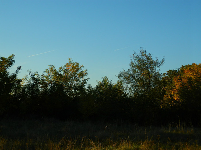 DSCN9509