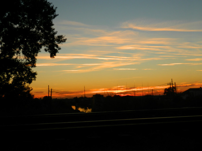 DSCN9576