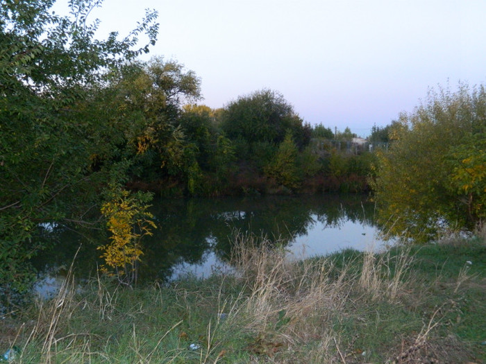 DSCN9580