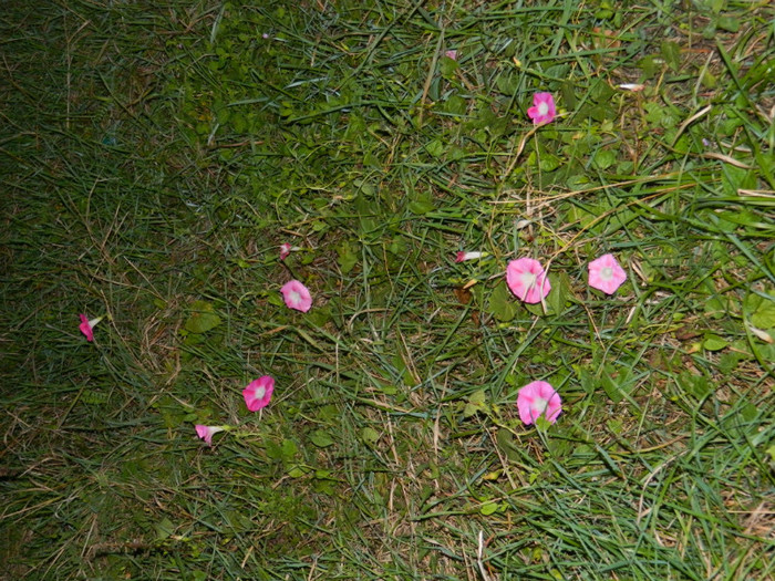 DSCN9589