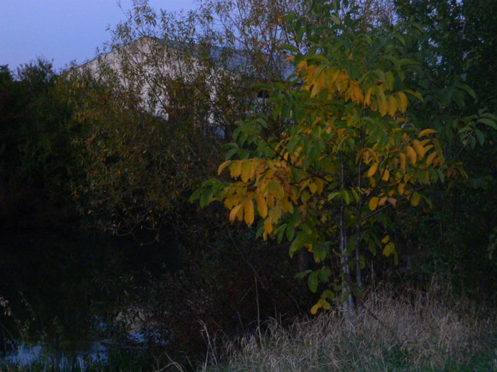DSCN9595
