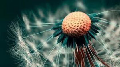 images (18) - Artistic nu gluma THE BEST ARTISTIC