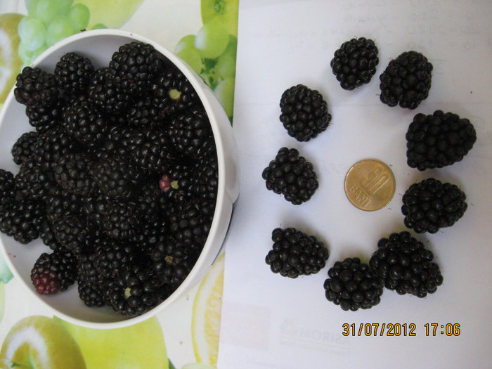 si marimea boabelor...