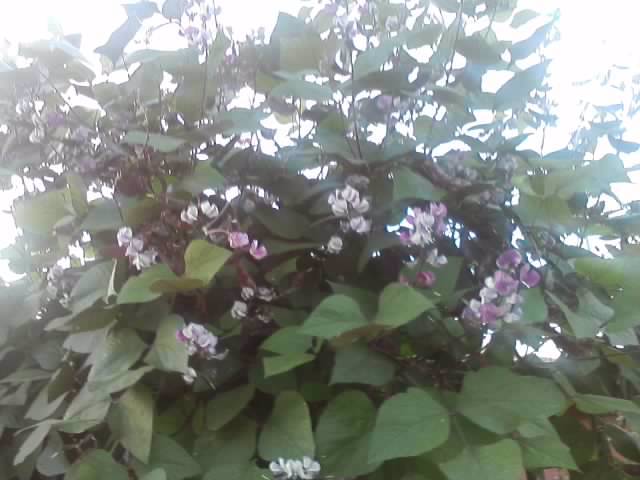 P071012_07.45_[01]