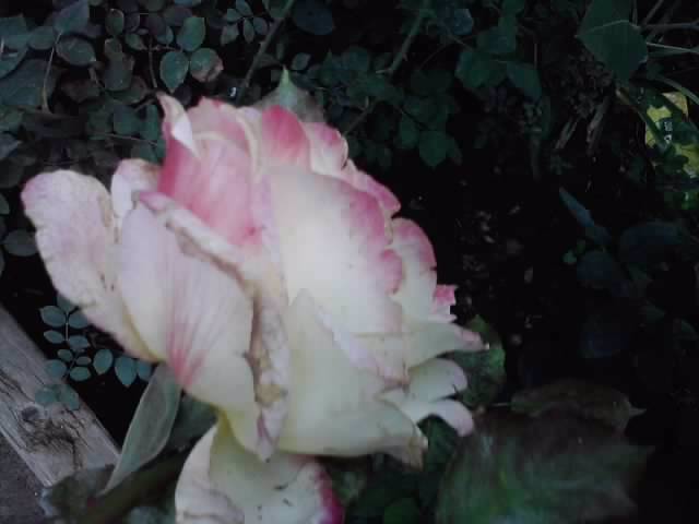P121012_22.35