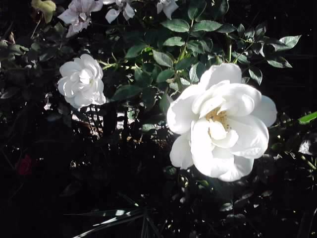 P141012_23.59_[04]