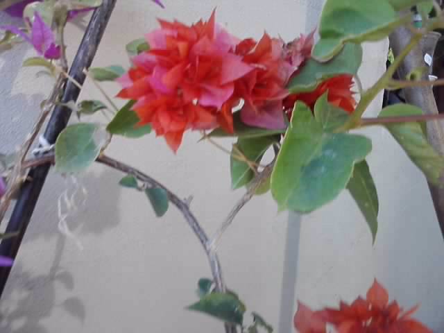P141012_23.50_[05]
