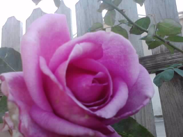 P141012_23.56_[01]