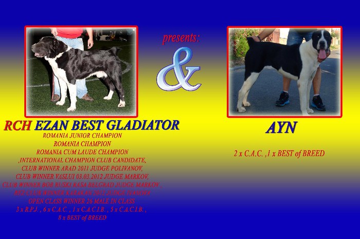 grasu & AYN 1 - pui Ain - Ezan Best Gladiators octombrie 2012