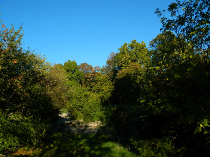 DSCN9843 - 19 OCTOMBRIE 2012 PARCUL BOTANIC