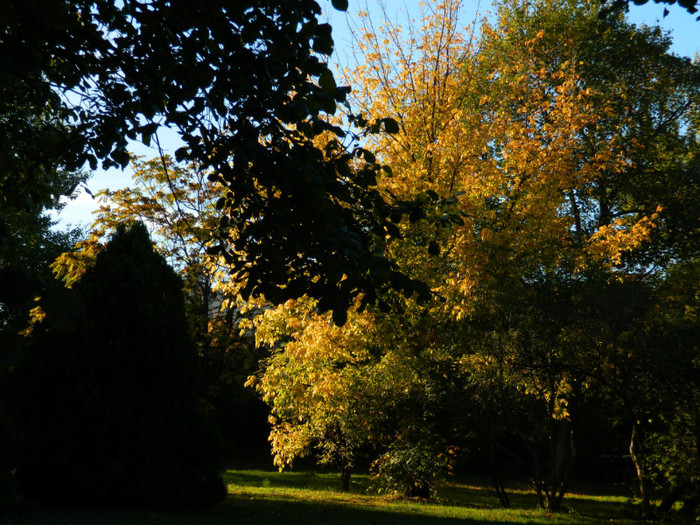 DSCN9846 - 19 OCTOMBRIE 2012 PARCUL BOTANIC