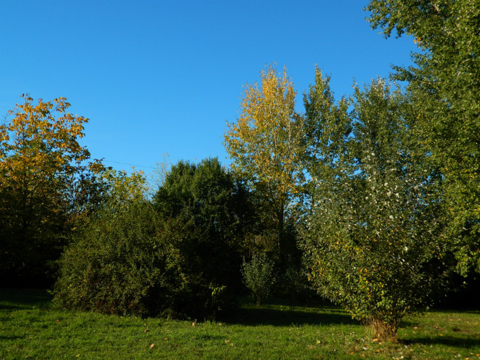 DSCN9860 - 19 OCTOMBRIE 2012 PARCUL BOTANIC