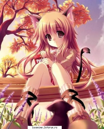 ok_375 - alte ANIME
